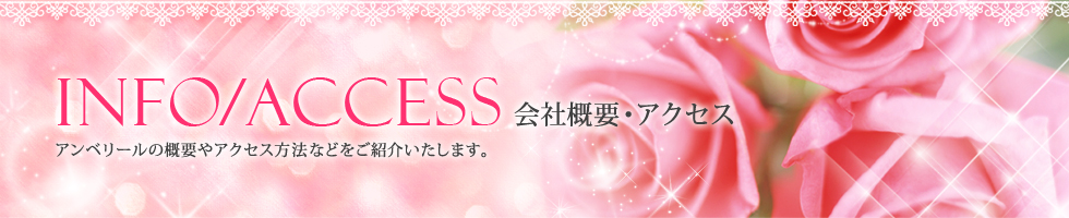 美ボディダイエットハウスEMBELLIR(アンベリール)の会社概要・アクセス方法