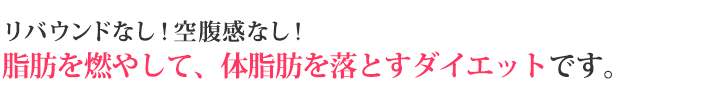 リバウンドしないダイエット方法の中身