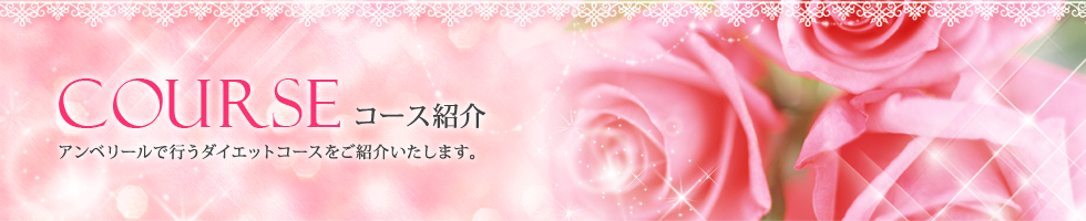 美ボディダイエットハウスEMBELLIR(アンベリール)のコース紹介