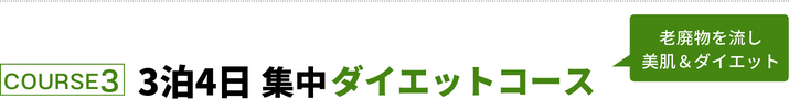 3泊4日