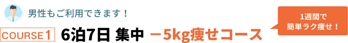 6泊7日
