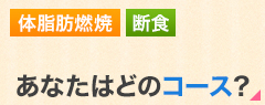美ボディダイエットハウスアンベリールのコース紹介