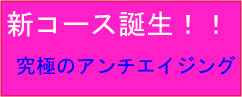 美ボディダイエットハウスアンベリールの新コース